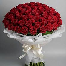 Букет 101 Красная роза Блэк Мэджик в Маме